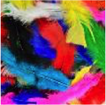 Turkey Flat Feathers 14GM 4-6" Assorted
