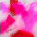 Turkey Flat Feathers 14GM 4-6" Pink Mix