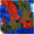 Turkey Flat Feathers 14 GM 4-6" Royal