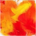 Turkey Flat Feathers 14GM 4-6" Warm mix