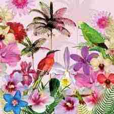 Napkin 33 Tropical FSC Mix 20 PC