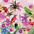 Napkin 33 Tropical FSC Mix 20 PC