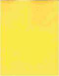 American Crafts Textured Cardstock 12"x12" Sunflower