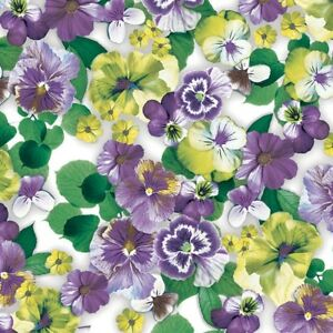 Napkin 33 Pansy All Over Purple FSC Mix 20 PC