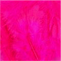 Turkey Flat Feathers 14GM 4-6" Hot Pink