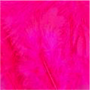 Turkey Flat Feathers 14GM 4-6" Hot Pink