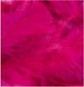 Turkey Flat Feathers 14 GM 4-6"