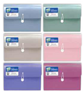 Morandi 13-Pocket Poly Expanding File
