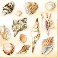 Napkin 33 Shells Cream FSC Mix 20 PC