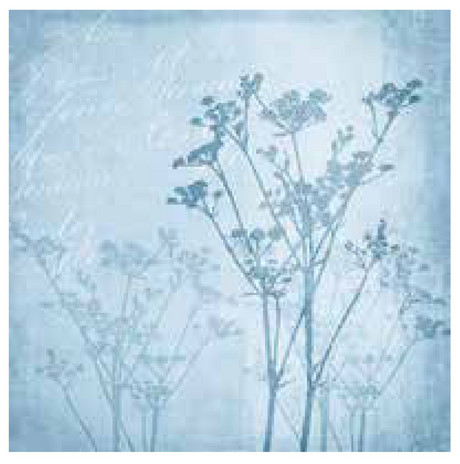 Napkin 33 Aoral Hannony Blue FSC Mix 20 PC