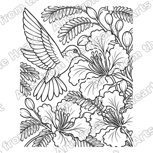 Hummingbird and Flamboyant Flowers Pre-Drawn Sip & Paint Canvas, 8x10 – Arts from the Heart SXM