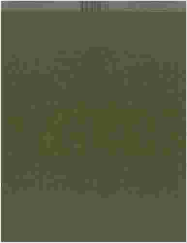 fourz - bz - 8.5x11 - capers
