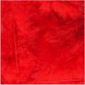 Turkey Flat Feathers 14GM 4-6" Red