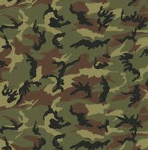 PSV EasyPattern Camo Green 12"X24"