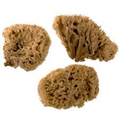 NATURAL SPONGES EXTRA LARGE WOOL VALUE PACK 2 PC