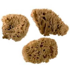 NATURAL SPONGES EXTRA LARGE WOOL VALUE PACK 2 PC