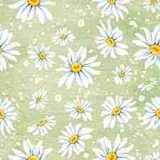 Napkin 33 Daisies Green FSC Mix 20 PC