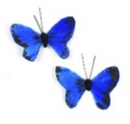 Touch of Nature 1.25" Blue Feather Mini Butterfly, 2pc