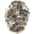 Touch of Nature Pheasant Pad 3.5x5" Natural 1pc