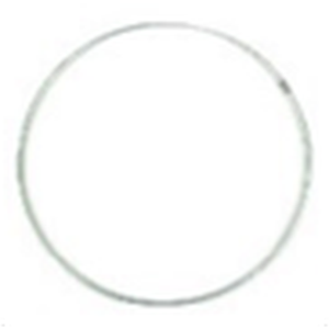 Touch of Nature 12” Metal Ring, 1pc