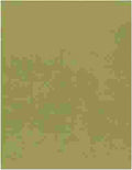 American Crafts Textured Cardstock 12"x12" Olive