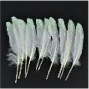 Turkey Round Feathers Iridescent Tips 10pcs