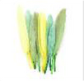 Mini Duck Feathers 3" Nature Mix 24pc