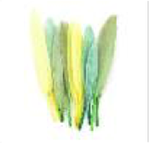 Mini Duck Feathers 3" Nature Mix 24pc