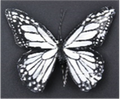 Touch of Nature 5" Black/White Feather Butterfly on wire, 1pc