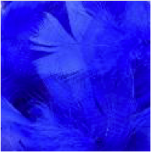 Turkey Flat Feathers 14GM 4-6" Royal