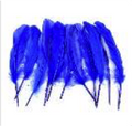 Goose Wing Rounds 7-8" Royal Blue Mix 12pc