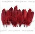 Goose Wing Rounds 7-8" Cinnabar 12pc