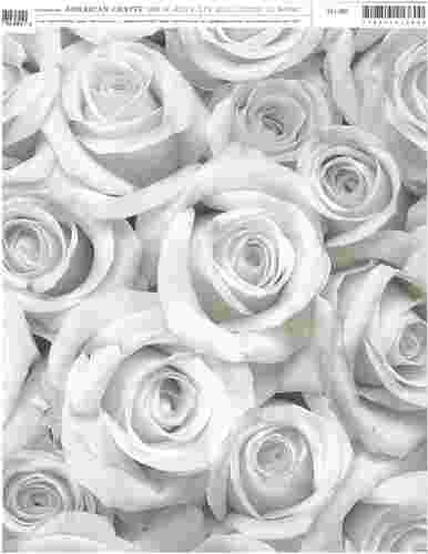 Large Roses