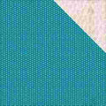 Cedar Lane Double-sided Cardstock 12"x12"-riverside Lane