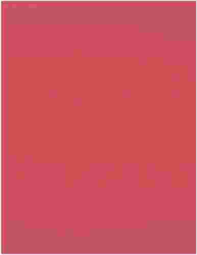 mono - bz - 8.5x11 - watermelon