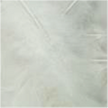 Turkey Flat Feathers 14GM 4-6" White