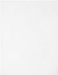 CousinDIY Plastic Canvas 10 Count 10.5"X13.5"