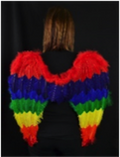 Touch of Nature Feather Rainbow Angel Wings 27x23" w/Elastic Straps 1pc *Halo Included*