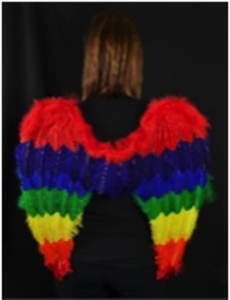 Touch of Nature Feather Rainbow Angel Wings 27x23" w/Elastic Straps 1pc *Halo Included*