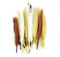 Mini Duck Feathers 3" Earth Mix (Gold,Eggshell, Sienna) 24pc