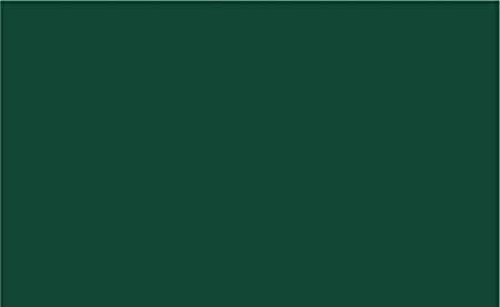 Easy PSV Turtle Green 12'' x 24''