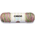 Caron Simply Soft Paints Yarn-Rose Garden