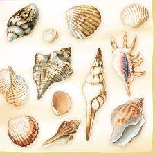 Napkin 33 Shells Cream FSC Mix 20 PC