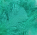 Turkey Flat Feathers 14 GM 4-6" Bermuda