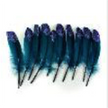 Turkey Round Feathers 7-8” Teal Glitter Tips