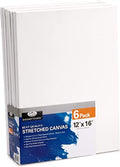 6pk 12 X 16 Panel Value