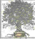 12 x 12 PATTERNED PAPER Once Upon A Lifetime Family