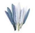 Mini Duck Feathers 3" Gray Mix 24pc