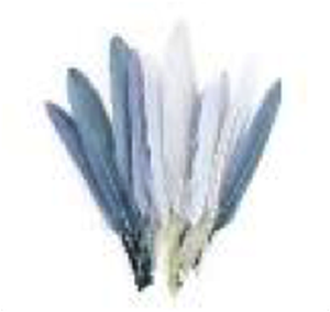 Mini Duck Feathers 3" Gray Mix 24pc