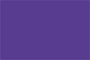 22" X 28" Purple Poster Board